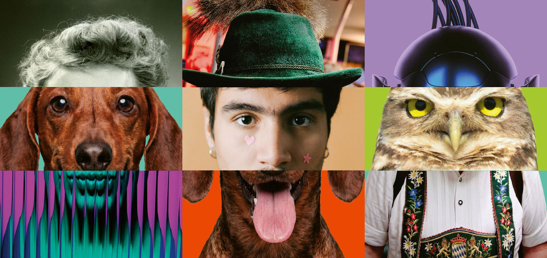 Nine-panel collage of quirky portraits and patterns including dogs, a person with heart sticker, an owl, a green hat, a helmet, and traditional clothing motifs.