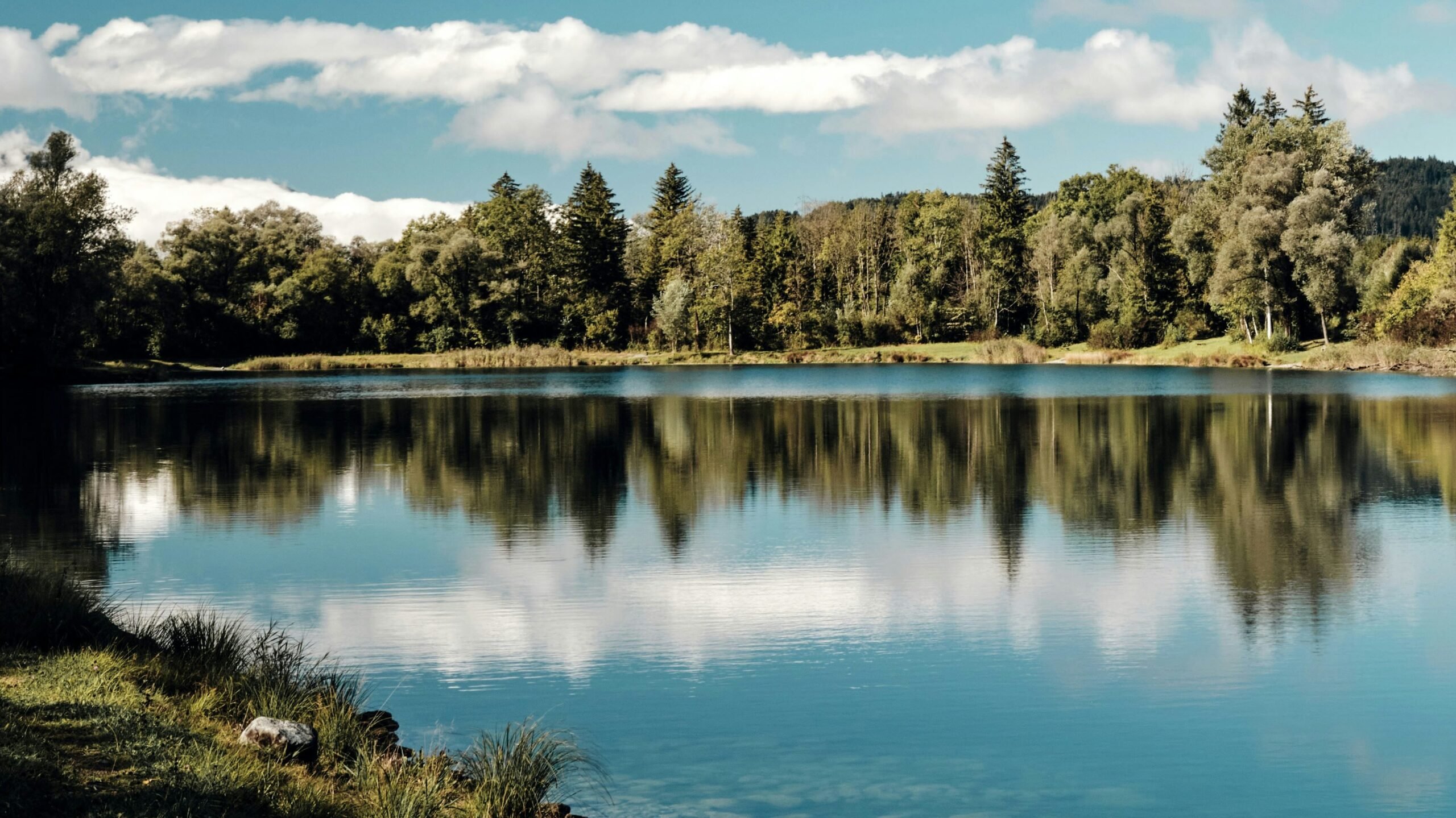 See München: Lußsee